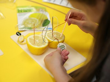 Energie erleben Zitronenexperiment Energie erleben Zitronenexperiment