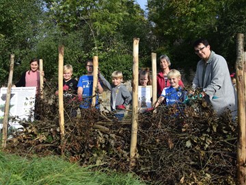 Benjeshecke Benjeshecke