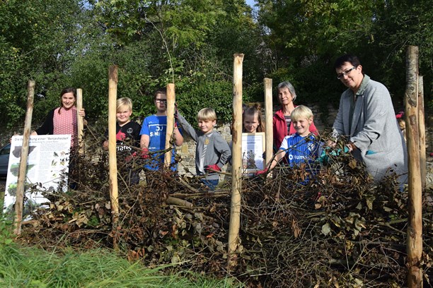 Benjeshecke Benjeshecke