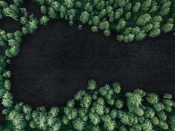 Nachhaltigkeit Bäume von oben Nachhaltigkeit Bäume von oben