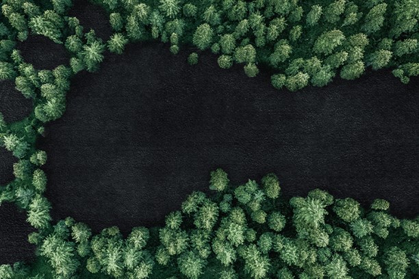 Nachhaltigkeit Bäume von oben Nachhaltigkeit Bäume von oben
