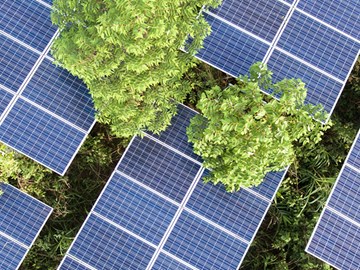 Nachhaltigkeit, erneuerbare Energien Nachhaltigkeit, erneuerbare Energien