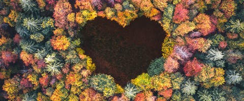 Nachhaltigkeit, Umweltschutz Nachhaltigkeit, Umweltschutz