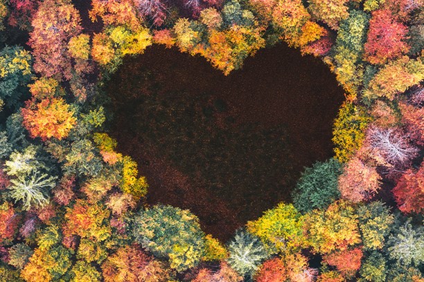 Nachhaltigkeit, Umweltschutz Nachhaltigkeit, Umweltschutz