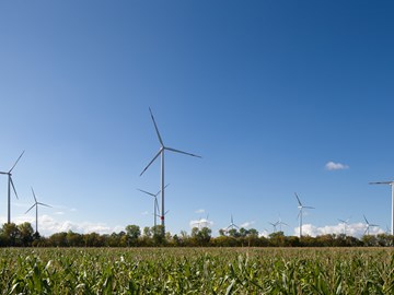 Windkraftanlage vor blauem Himmel auf grünem Feld Windkraftanlage vor blauem Himmel auf grünem Feld