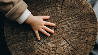 Nachhaltigkeit, Kinderhand auf Baumstamm Nachhaltigkeit, Kinderhand auf Baumstamm
