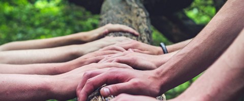verschiedene Hände an einem Baum verschiedene Hände an einem Baum