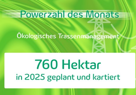 Powerzahl des Monats Oktober 2025 Powerzahl des Monats Oktober 2025