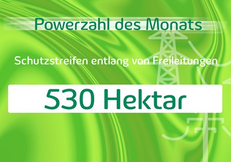 Zahl des Monats, November 2023 Zahl des Monats, November 2023