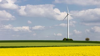 eine Windenergieanlage vor einem Rapsfeld eine Windenergieanlage vor einem Rapsfeld