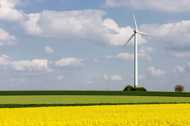eine Windenergieanlage vor einem Rapsfeld eine Windenergieanlage vor einem Rapsfeld