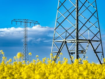 Strommasten auf einem Rapsfeld bei Kabelsketal Strommasten auf einem Rapsfeld bei Kabelsketal