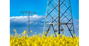 Strommasten auf einem Rapsfeld bei Kabelsketal Strommasten auf einem Rapsfeld bei Kabelsketal