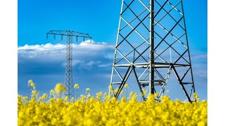Strommasten auf einem Rapsfeld bei Kabelsketal Strommasten auf einem Rapsfeld bei Kabelsketal