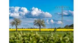 Strommasten auf einem Rapsfeld bei Kabelsketal unter blauem Himmel Strommasten auf einem Rapsfeld bei Kabelsketal unter blauem Himmel