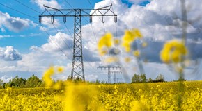 Stromtrasse auf einem Rapsfeld bei Kabelsketal Stromtrasse auf einem Rapsfeld bei Kabelsketal
