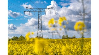 Stromtrasse auf einem Rapsfeld bei Kabelsketal Stromtrasse auf einem Rapsfeld bei Kabelsketal