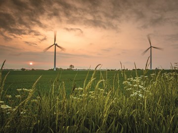 Windräder_Sonnenaufgang_Original Windräder_Sonnenaufgang_Original