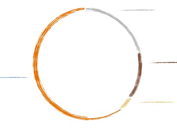 Anteilseignerstruktur ohne Schrift Anteilseignerstruktur ohne Schrift