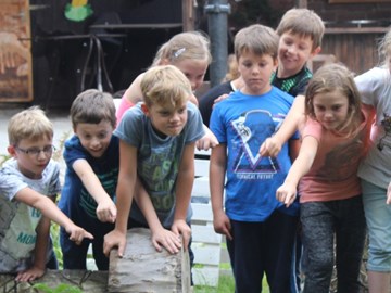 eine Gruppe von Kindern steht an einem Teich und beobachtet Fische eine Gruppe von Kindern steht an einem Teich und beobachtet Fische