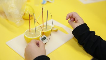 Experiment mit Zitrone Experiment mit Zitrone