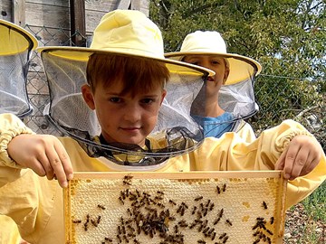 Kind mit Bienenwabe in der Hand Kind mit Bienenwabe in der Hand