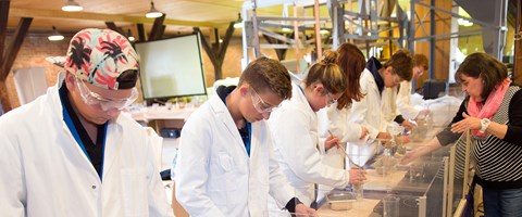 Schule und Uni Schule und Uni