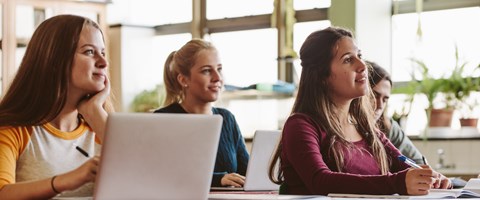 Schüler folgen aufmerksam dem Unterricht in einer Schulklasse Schüler folgen aufmerksam dem Unterricht in einer Schulklasse