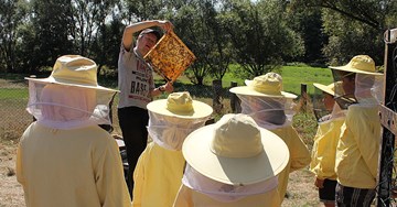 Kinder schauen neugierig Bienenwabe an Kinder schauen neugierig Bienenwabe an