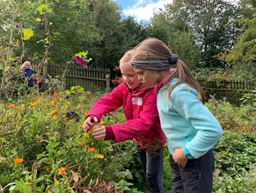 Naturherberge Affalter zwei Mädchen in einem blühenden Garten mit einer Becherlupe