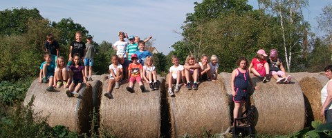 naturhof_reit_und_kinderbauernhof_krasselt_gs_buecherwurm naturhof_reit_und_kinderbauernhof_krasselt_gs_buecherwurm