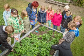 Kräutergarten Kräutergarten