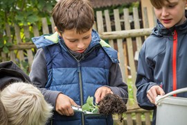 Kräutergarten Kräutergarten