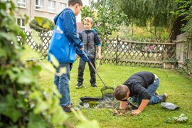 Schulgarten Schulgarten