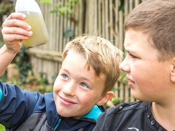 Schulgarten Schulgarten