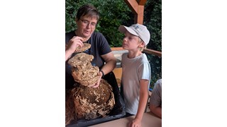 Natur zum Anfassen, Grüne Welle Umweltverein Natur zum Anfassen, Grüne Welle Umweltverein