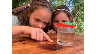 Natur zum Anfassen, Naturhof Haus am See Natur zum Anfassen, Naturhof Haus am See