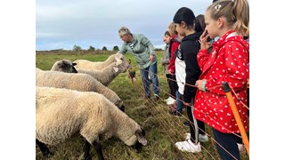Natur zum Anfassen, Schulbauernhof Othal Natur zum Anfassen, Schulbauernhof Othal