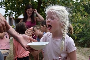 Honig zum Probieren Honig zum Probieren