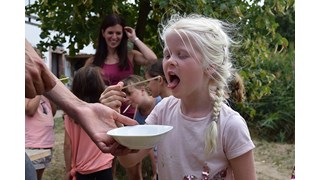 Honig zum Probieren Honig zum Probieren