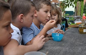 Honig zum Probieren Honig zum Probieren