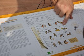 Wissen rund um die Honigbiene Wissen rund um die Honigbiene