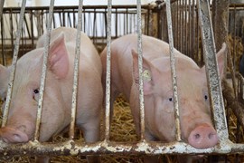 Natur zum Anfassen Natur zum Anfassen