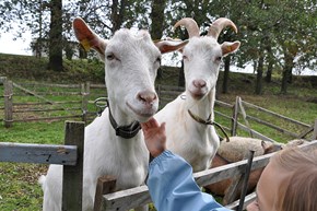 Natur zum Anfassen Natur zum Anfassen