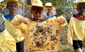 Kind hält Bienenwabe in der Hand Kind hält Bienenwabe in der Hand