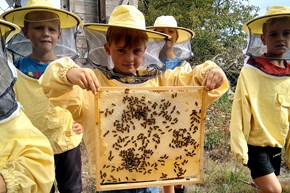 Kind hält Bienenwabe in der Hand Kind hält Bienenwabe in der Hand