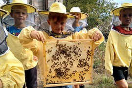 Kind hält Bienenwabe in der Hand Kind hält Bienenwabe in der Hand