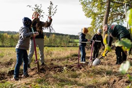 Stiftung Wald für Sachsen, Pflanzaktion 2022 Stiftung Wald für Sachsen, Pflanzaktion 2022