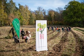Stiftung Wald für Sachsen, Pflanzaktion 2022 Stiftung Wald für Sachsen, Pflanzaktion 2022