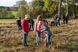 Stiftung Wald für Sachsen, Pflanzaktion 2022 Stiftung Wald für Sachsen, Pflanzaktion 2022